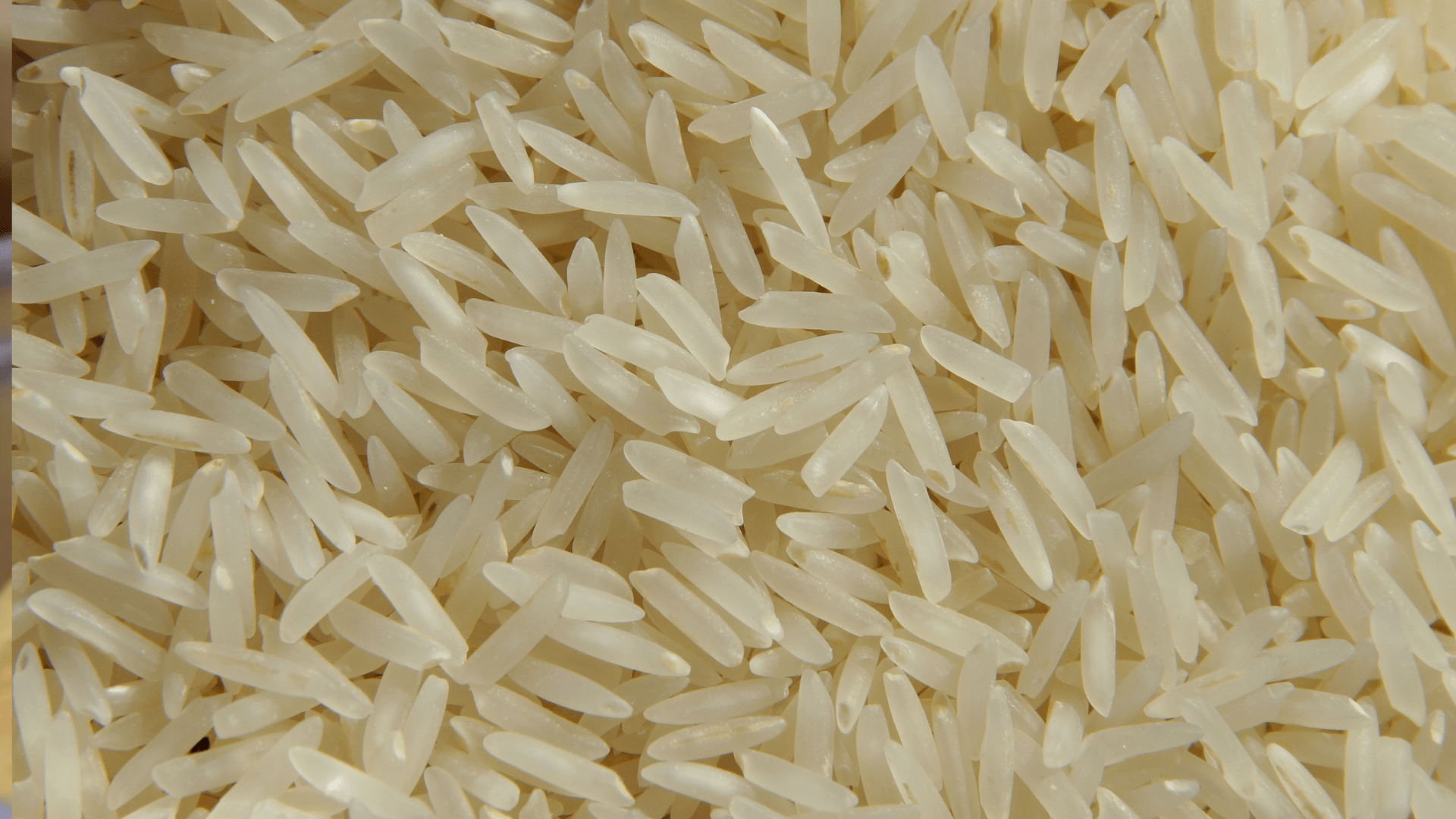 Grão de arroz longo