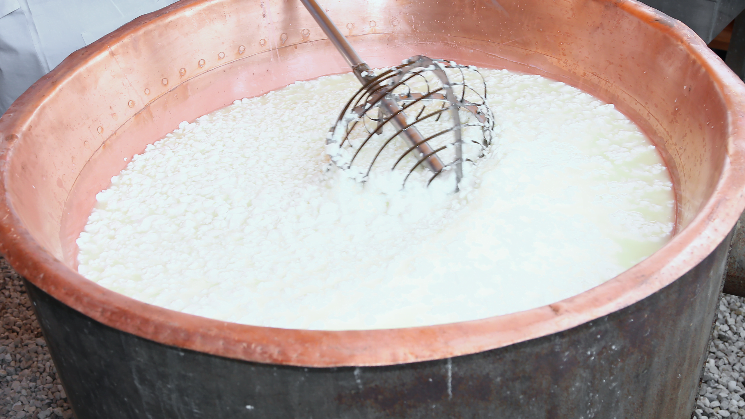 quanto tempo demora para coalhar o leite para queijo