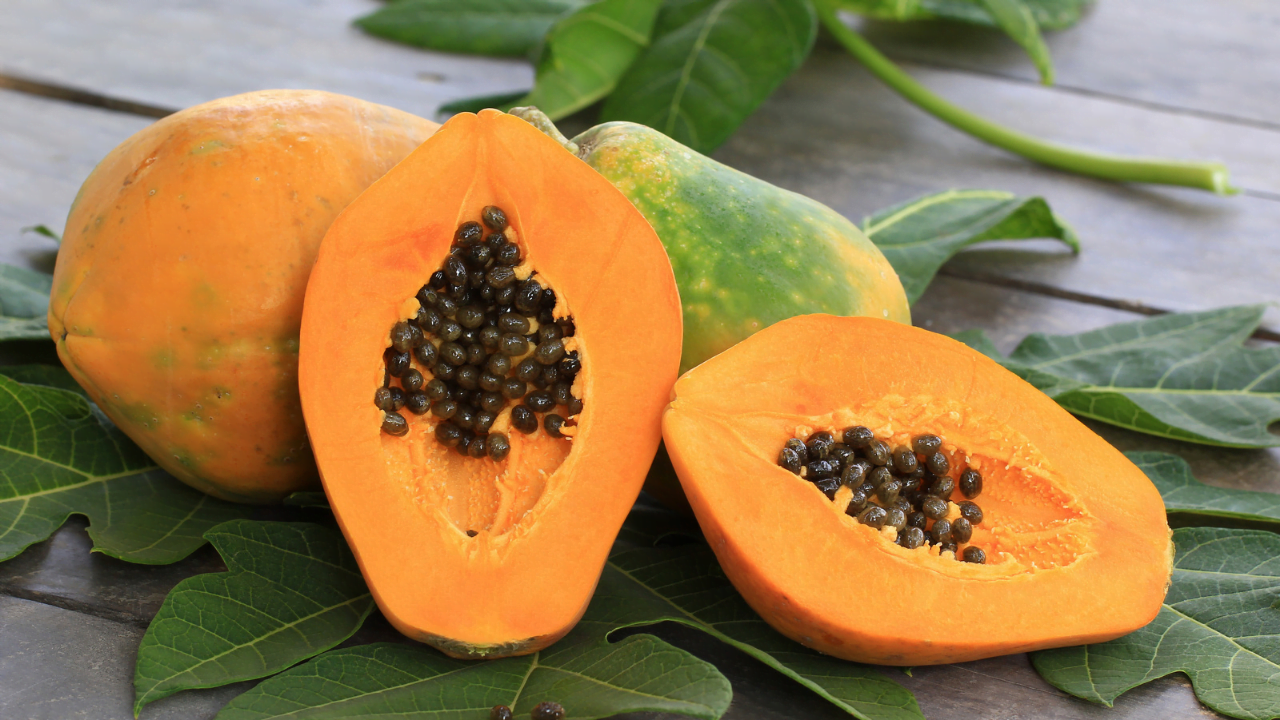 como escolher mamão papaya