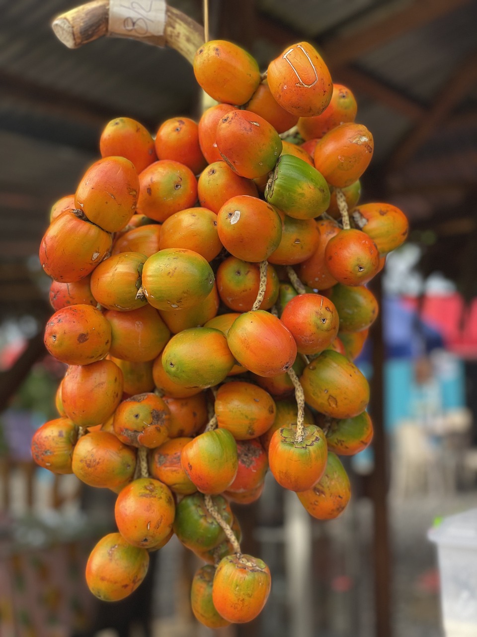 Receita de pupunha