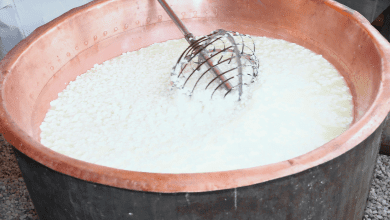 quanto tempo demora para coalhar o leite para queijo